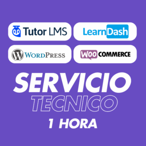 1 hora de servicio técnico especializado